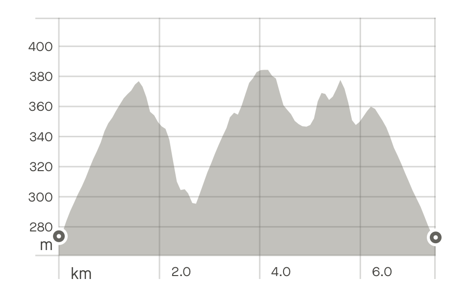 Race Profile Map