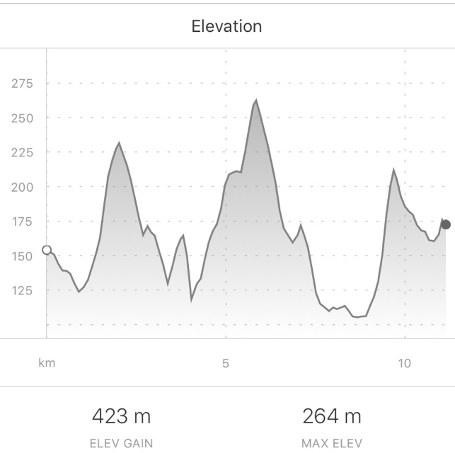 Race Profile Map