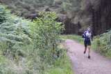 Photo of Djouce (Earl's drive) trail