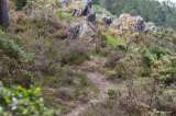 Photo of Trail de Guerledan
