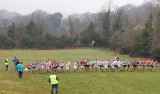 Photo of Irish Schools Championship