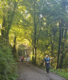 Photo of Garryduff Woods, Rochestown