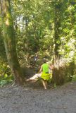 Photo of Garryduff Woods, Rochestown