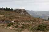 Photo of Carrick Mountain