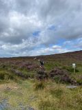 Photo of Stone Cross to Lug SOLO