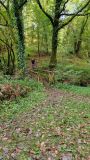 Photo of Canon Sheehan Loop - Glenanaar Forest