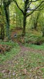 Photo of Canon Sheehan Loop - Glenanaar Forest