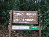 Photo of Bansha Woods