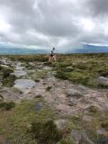 Photo of Slievenamon