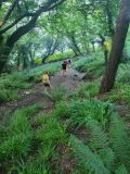 Photo of Currabinny Trail