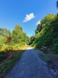 Photo of Currabinny Trail