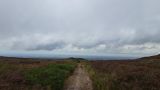 Photo of Canon Sheehan Loop - Glenanaar Forest