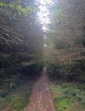 Photo of Canon Sheehan Loop - Glenanaar Forest