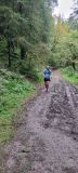 Photo of Canon Sheehan Loop - Glenanaar Forest