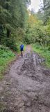 Photo of Canon Sheehan Loop - Glenanaar Forest