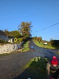 Photo of **Wicklow Way Race**