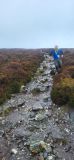 Photo of Powerscourt Ridge