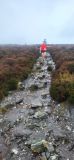 Photo of Powerscourt Ridge