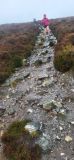 Photo of Powerscourt Ridge