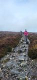 Photo of Powerscourt Ridge