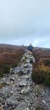 Photo of Powerscourt Ridge