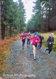 Photo of Powerscourt Ridge