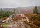 Photo of Powerscourt Ridge