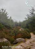 Photo of Powerscourt Ridge