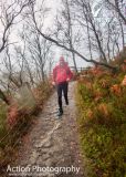 Photo of Powerscourt Ridge