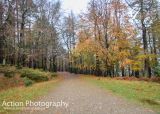 Photo of Powerscourt Ridge