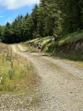 Photo of Croghan Half