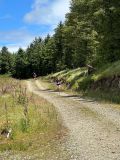 Photo of Croghan Half