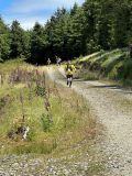 Photo of Croghan Half