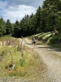 Photo of Croghan Half