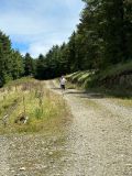 Photo of Croghan Half