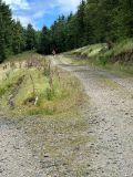 Photo of Croghan Half