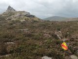 Photo of Mt Leinster Half