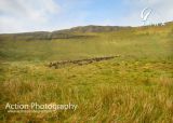 Photo of Benbulben (Luke's Bridge)