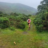 Photo of Glendalough Tucker Trail