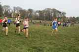 Photo of AAI National Novice Cross-Country