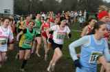 Photo of AAI National Novice Cross-Country