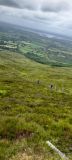 Photo of Nephin (Connacht Championship)