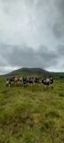 Photo of Nephin (Connacht Championship)