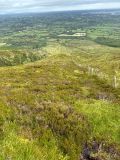 Photo of Nephin (Connacht Championship)