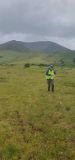 Photo of Nephin (Connacht Championship)