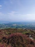 Photo of Carlingford Slieve Foye