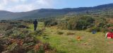 Photo of Carlingford Slieve Foye