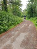 Photo of Cratloe