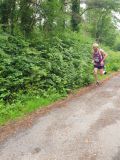 Photo of Cratloe