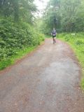 Photo of Cratloe